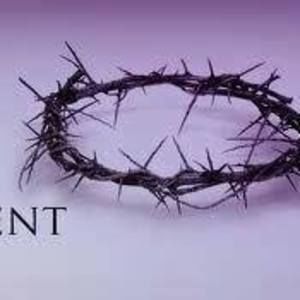 Meet your Posher, Joy